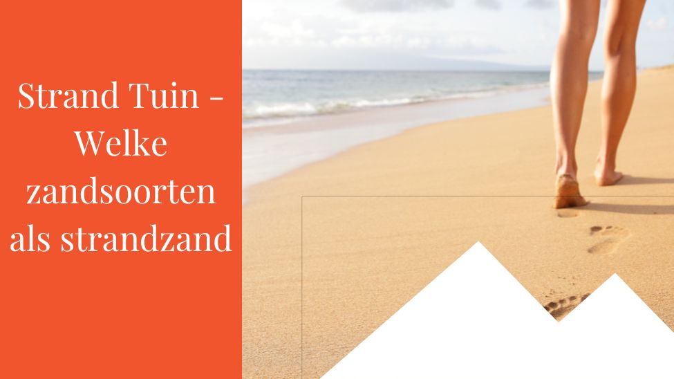 Strand Tuin